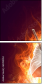 63090052