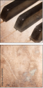 63329825