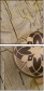 63872265