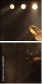 63920809