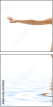 6392806