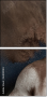 64035184