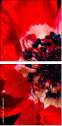 64202605