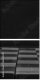 64265045