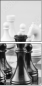 64265081