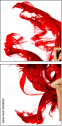 64282012