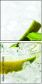 64781640