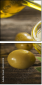 65132518