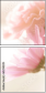 65294309