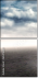 65476081