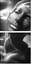 65561483