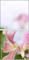 65612504