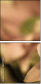 65771321