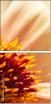 65782170
