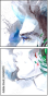 65864173