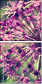 65874954