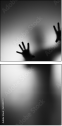 65905170