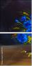 66105575