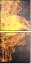 66150083