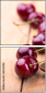 66523146