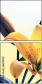 66709421