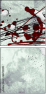 66720090