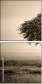 67091095