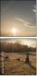 67141324