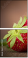 67189229