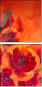 67251094