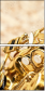 67355058
