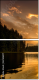 67616317