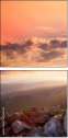 67822236