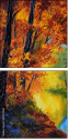 67857366