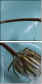 67938028