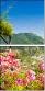 67960618