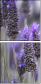 68001628
