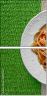 68113963