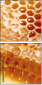 68182564