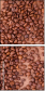 68206263