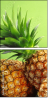 68208403
