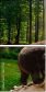68271781