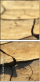 68740309