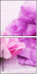 68847912