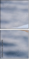 68956186