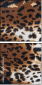 69044365