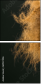 69137496
