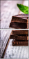 69173350