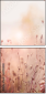 69193980
