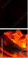 69305872